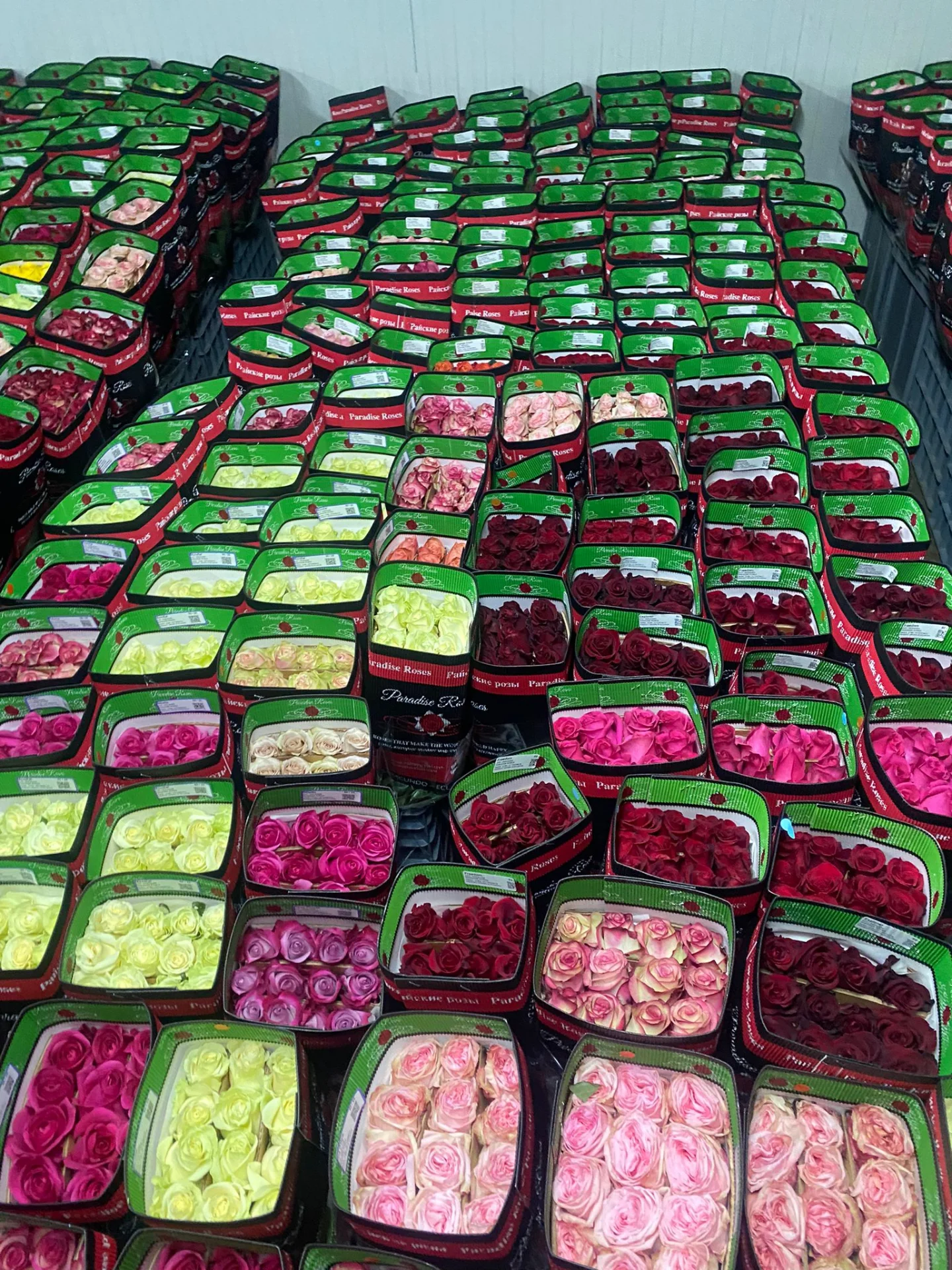 Distribución a floristerías